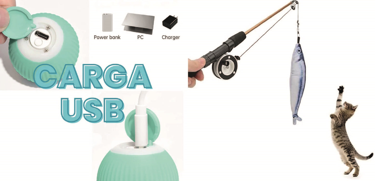 COMBO PELOTA MÁGICA + CAÑA DE PESCAR - PARA GATO🐱