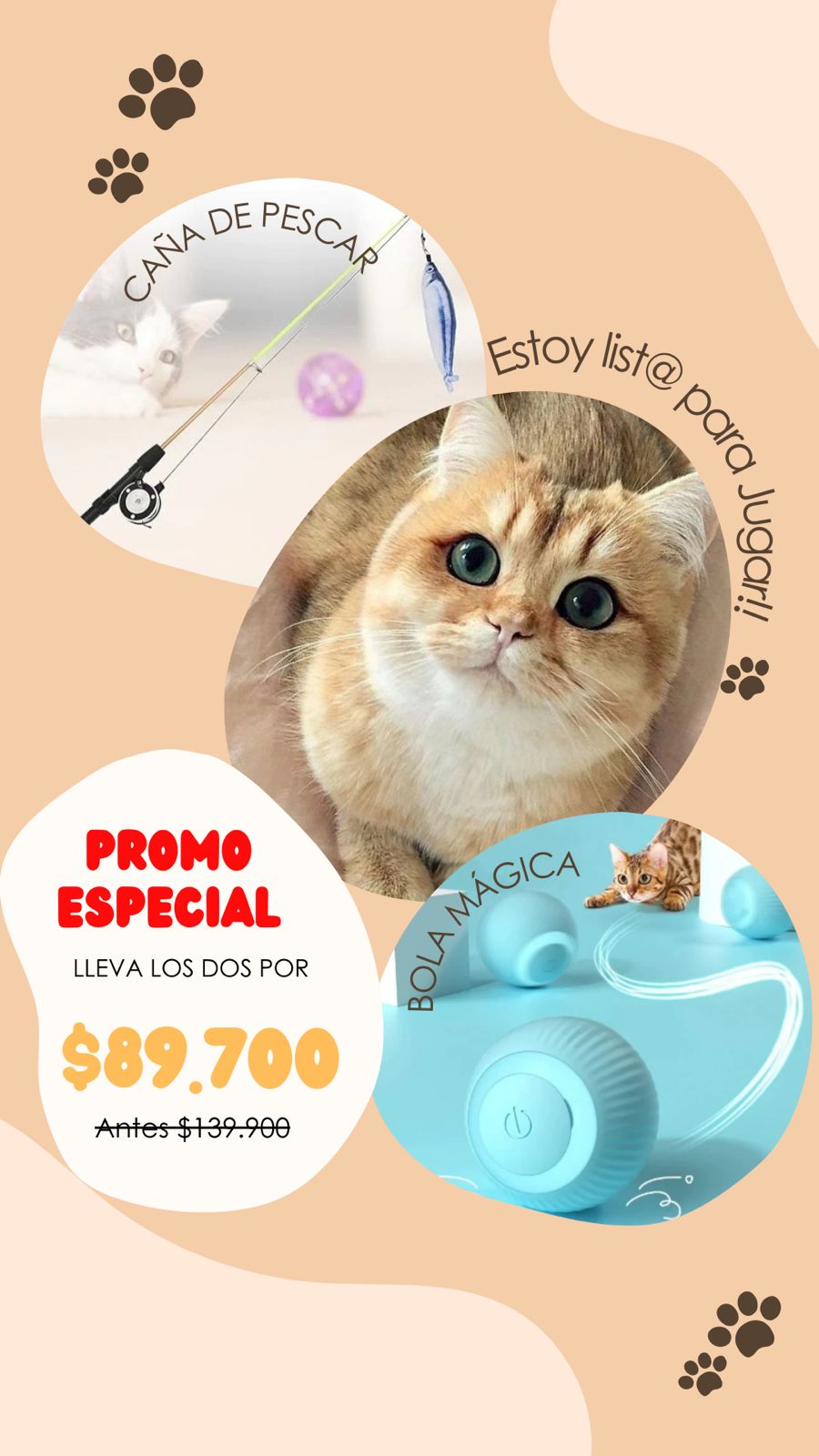 COMBO PELOTA MÁGICA + CAÑA DE PESCAR - PARA GATO🐱